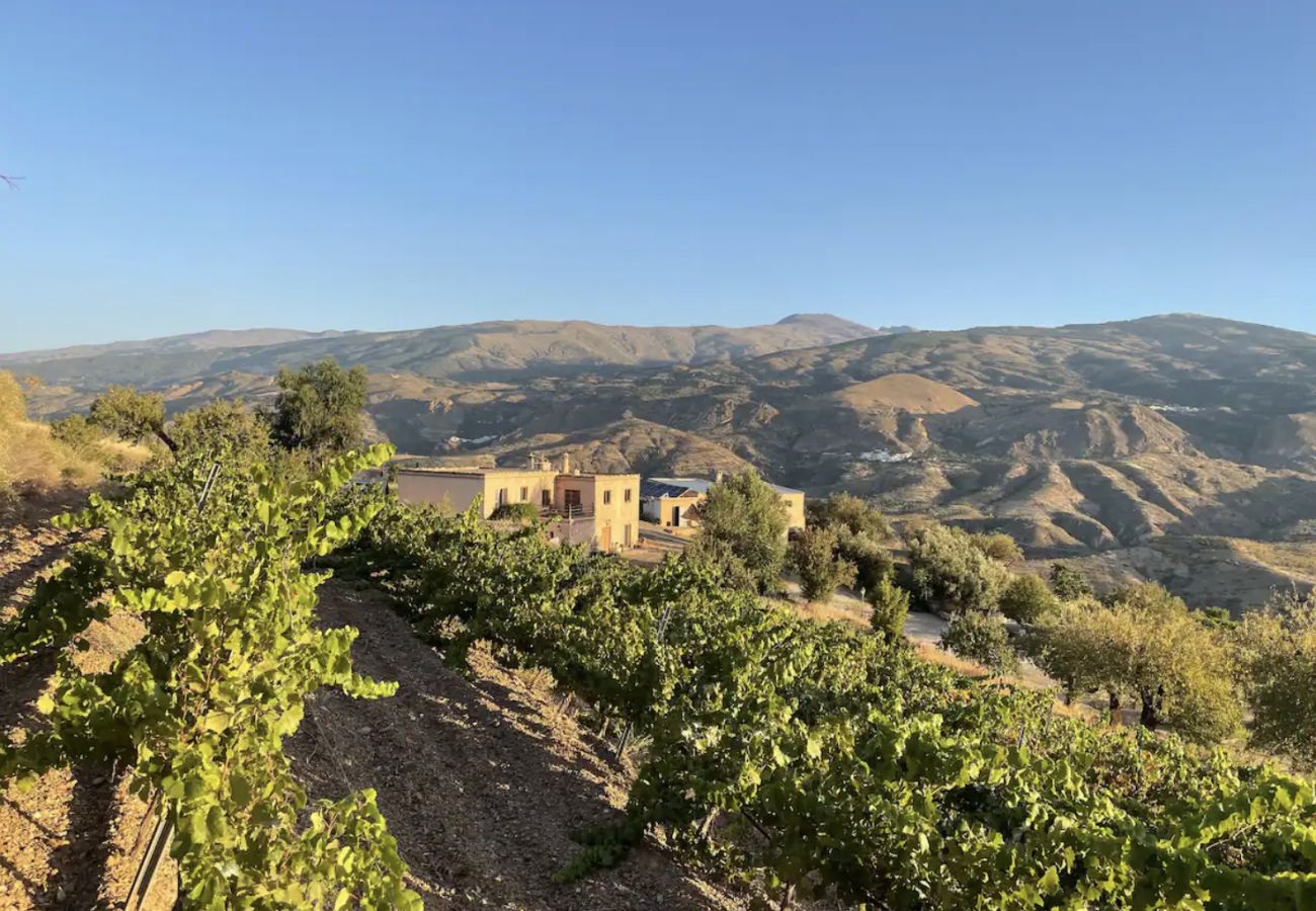 Villa in Granada - Idyllic villa in amazing vineyard